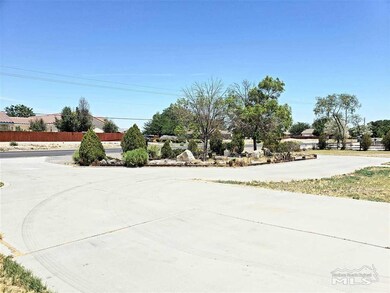 665 Rice Rd, Fallon, NV 89406 - photo 4