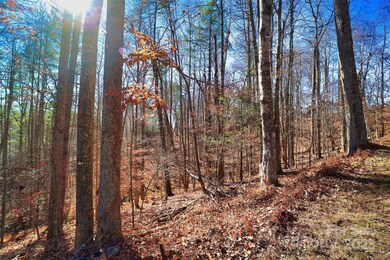 TBD Rockinghorse Trail unit Tract 1, Burnsville, NC 28714 - photo 3