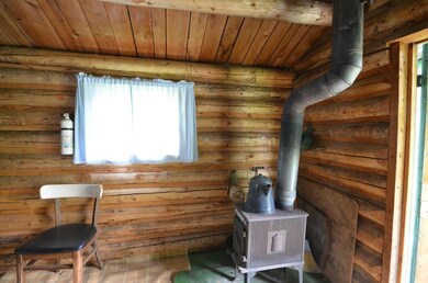 Wood stove