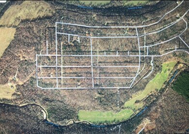 1004 Walnut Ln, Horseshoe Bend, AR 72512 - photo 7