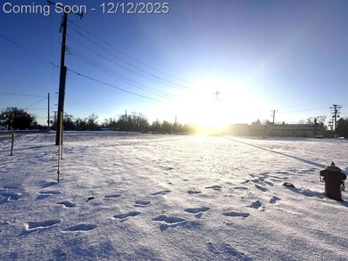 11630 Ozga St, Romulus, MI 48174 - photo 6