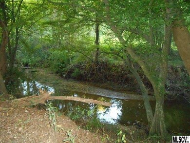 400 Low Bridge Rd, Iron Station, NC 28080 - photo 4