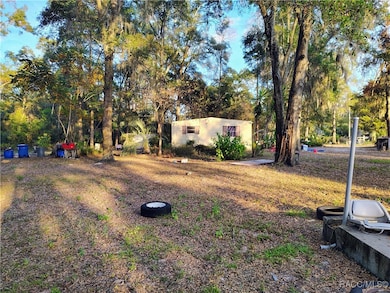 7929 W Delia Ln, Dunnellon, FL 34433 - photo 6