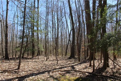 This is a photo of the actual property.