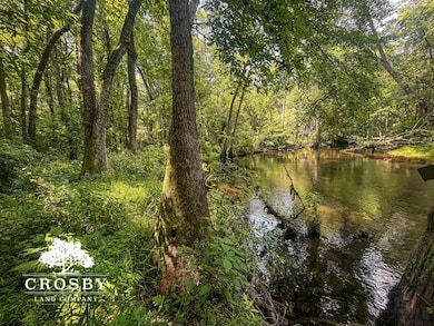 0 Spring Hill Rd, Red Springs, NC 28377 - photo 4