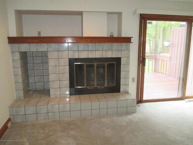 GAS FIREPLACE
