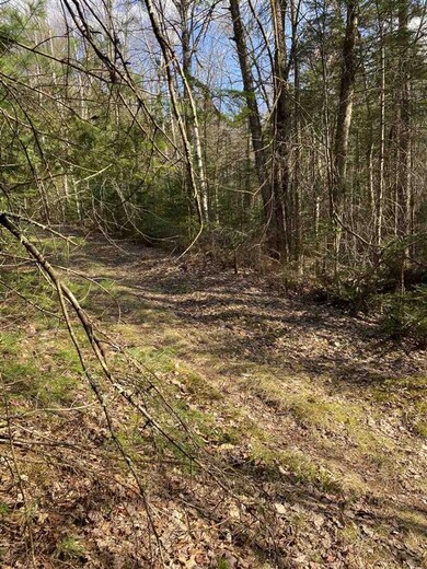 11-4 Wells Rd unit 11-4, Franconia, NH 03580 - photo 3