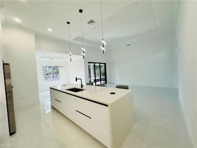 2604 20th Ave NE, Naples, FL 34120 - photo 7