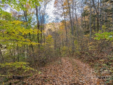 000 Drake Cove Rd, Mars Hill, NC 28754 - photo 3