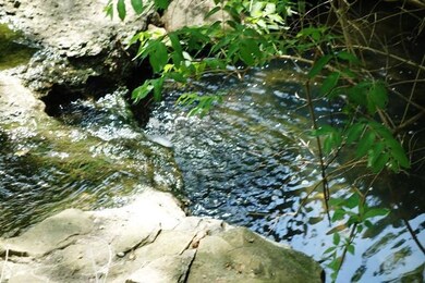 DSC01085