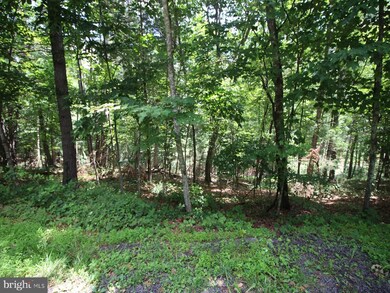 0 Anderson Rd unit VASH2006376, Basye, VA 22810 - photo 3