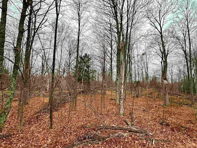 Lot 60 Chip n Dale Dr, Pickerel, WI 54465 - photo 2