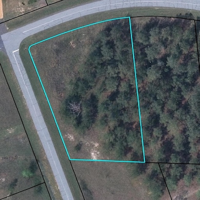 Lot 8 Mountain View Way, Bainbridge, GA 39819 - photo 7