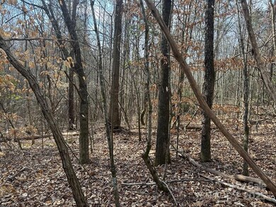 0 Sunshine Acres unit CAR4228639, Sylva, NC 28779 - photo 4