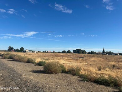 NKA Branch Rd, Toppenish, WA 98948 - photo 4