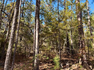 TBD Alabama 131, Bakerhill, AL 36027 - photo 5