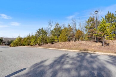 980 Timber Knoll Dr, Conway, AR 72034 - photo 7