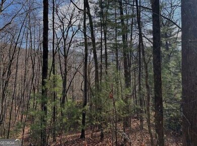 0 Evergreen Ln unit 10649699, Dillard, GA 30537 - photo 6