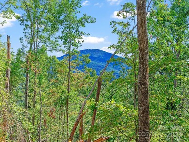 99999 Youngs Gap Rd unit South Lot, Hoopers Creek, NC 28732 - photo 2