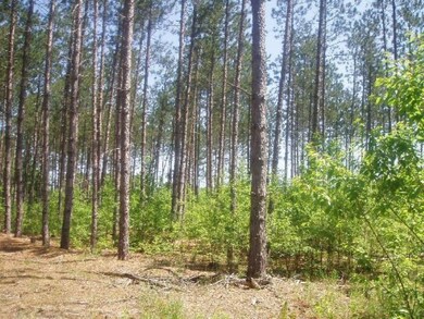 0 Harlan Rd unit 13009110, Copemish, MI 49625 - photo 5