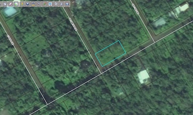 0 Plumeria Dr unit 726158, Ainaloa, HI 96778 - photo 4