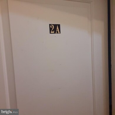 2435 Lakeview Ave unit 2A, Baltimore, MD 21217 - photo 4