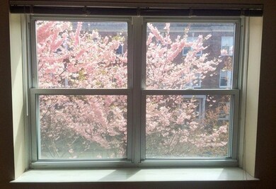 15 Alton Ct unit 3, Brookline, MA 02446 - photo 3