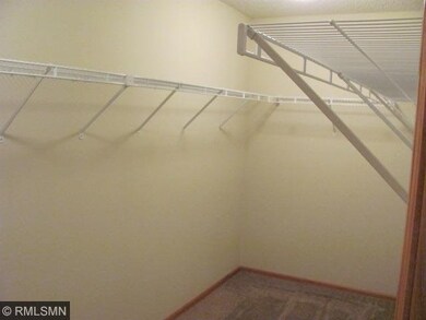 179 Stallion Ln, Circle Pines, MN 55014 - photo 6