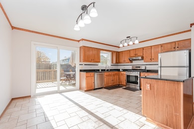 135 Lotus Dr, Lakemoor, IL 60051 - photo 4