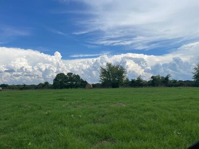 8163 & 8181 Cr 1200, Mount Pleasant, TX 75455 - photo 4