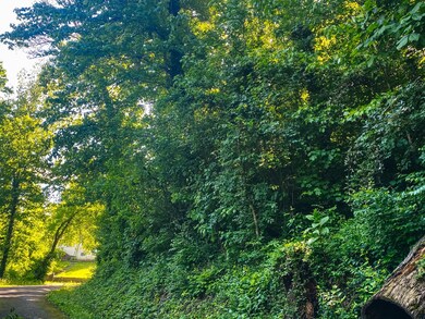 0 Red Oak Dr unit RTC2332729, Chattanooga, TN 37415 - photo 2