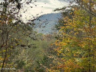 IMG_8130