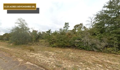 0 Devonshire Dr unit 25570924, Chipley, FL 32428 - photo 2