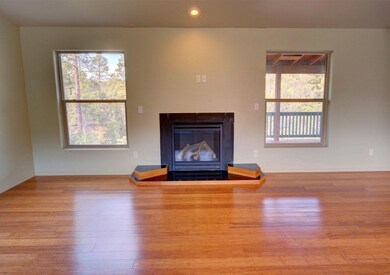 Photo 07 - Fireplace