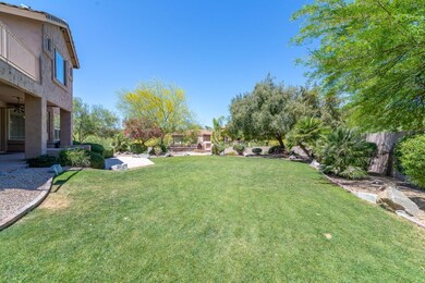 Backyard without pool