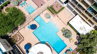 Pool and Spa