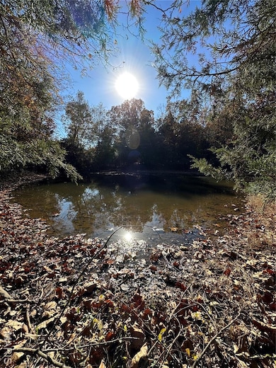 TBD Minorca Rd, Datto, AR 72444 - photo 2