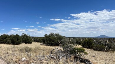 0 Warpath Rd unit 23912666, Quemado, NM 87829 - photo 2