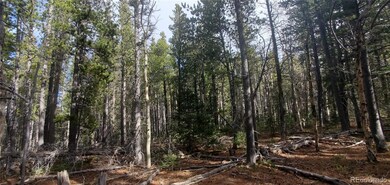 Lot 3246 Zipf Ln unit 3246, Fort Garland, CO 81133 - photo 7