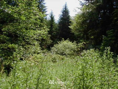 unlisted-address, Raymond, WA 98577 - photo 2