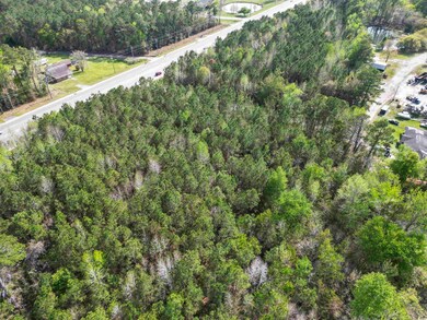 Birds eye view of property with a forest view