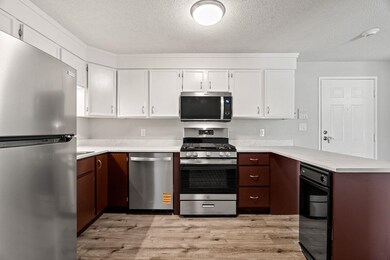 New Gas Stove, Microwave, Dishwasher and Refrigerator.