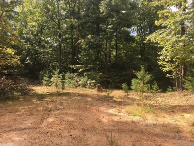 0 Pepper Bush Rd unit 919357, Purlear, NC 28665 - photo 6