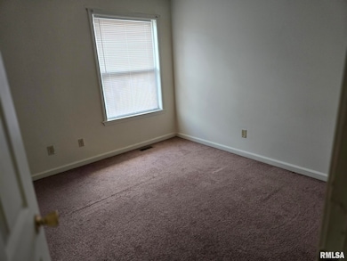 512 S Beveridge St unit 16, Carbondale, IL 62901 - photo 6