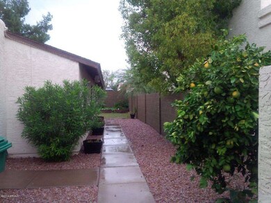 4030 e camino picture 2