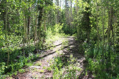 1917 S 1850 E, Brian Head, UT 84719 - photo 6