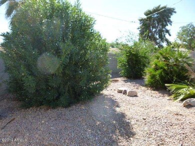 BACKYARD (5)