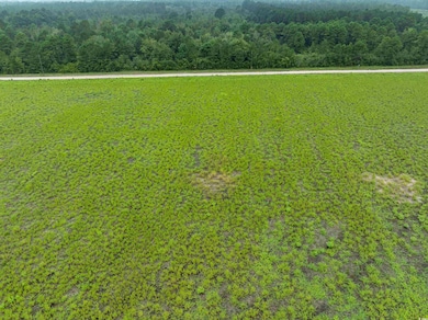 TBD LOT 4 Tansy Rd, Loris, SC 29569 - photo 2