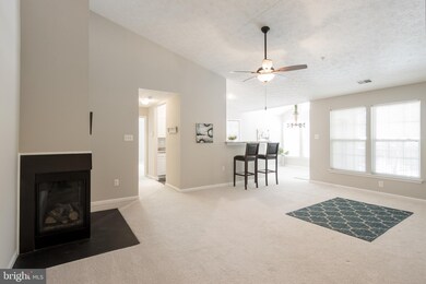 4882 Shellbark Rd, Owings Mills, MD 21117 - photo 6