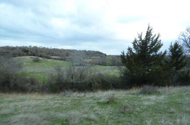 0000 New Harp Loop, Forestburg, TX 76239 - photo 2